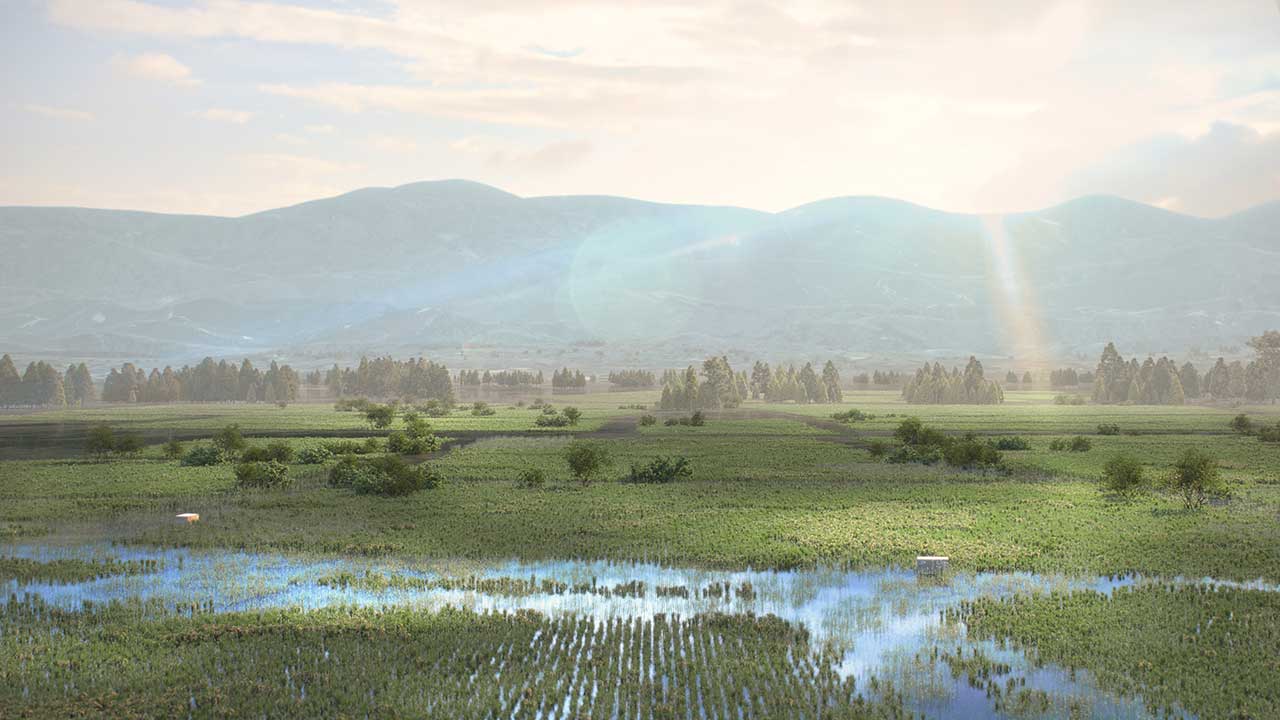 田んぼの風景